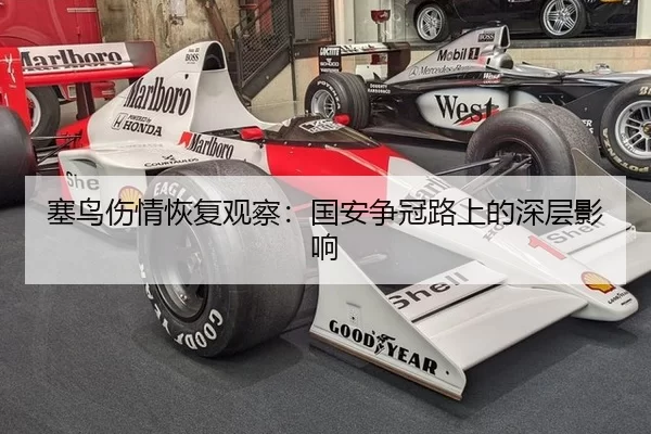 塞鸟伤情恢复观察：国安争冠路上的深层影响